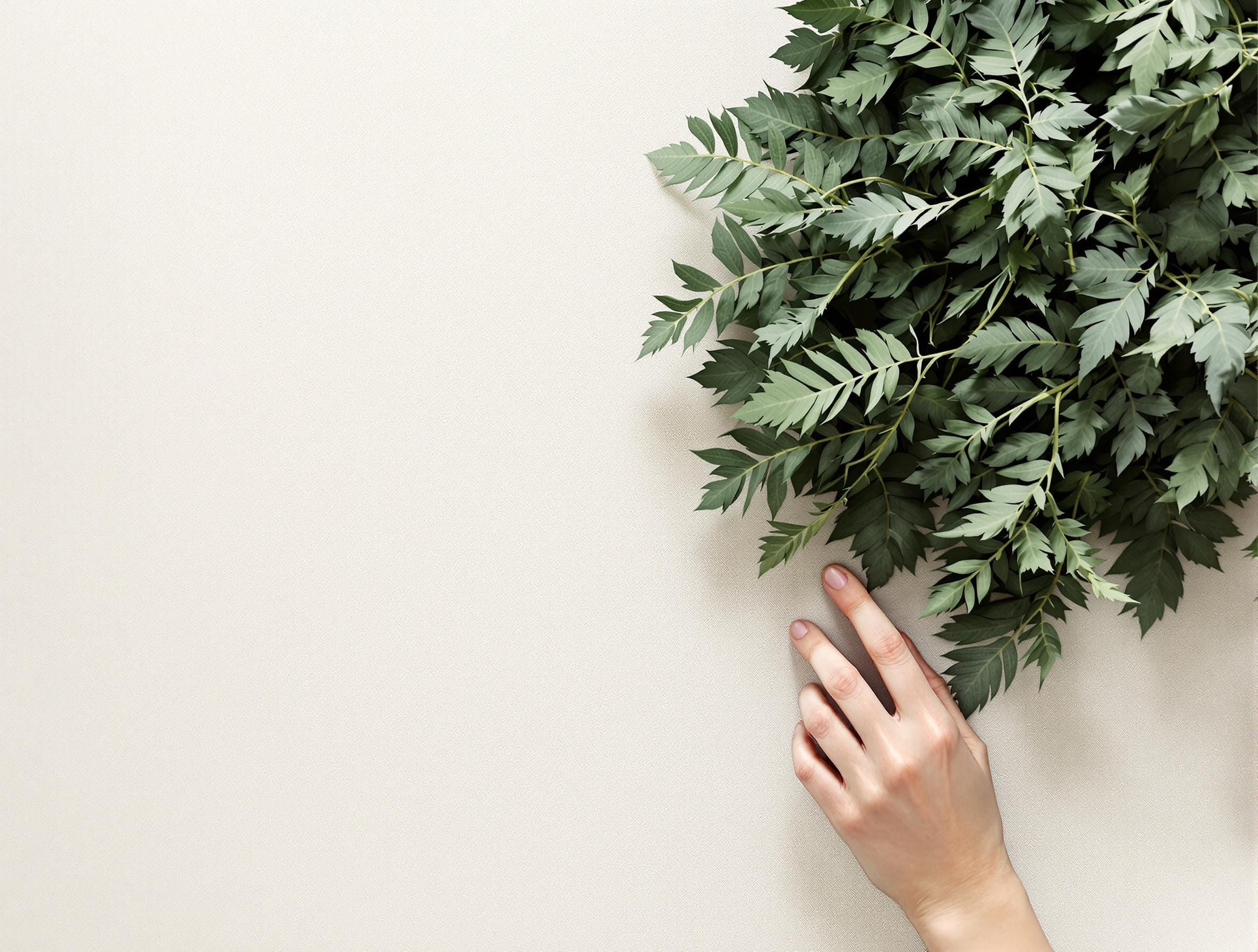 Flow Temple Academy Kit